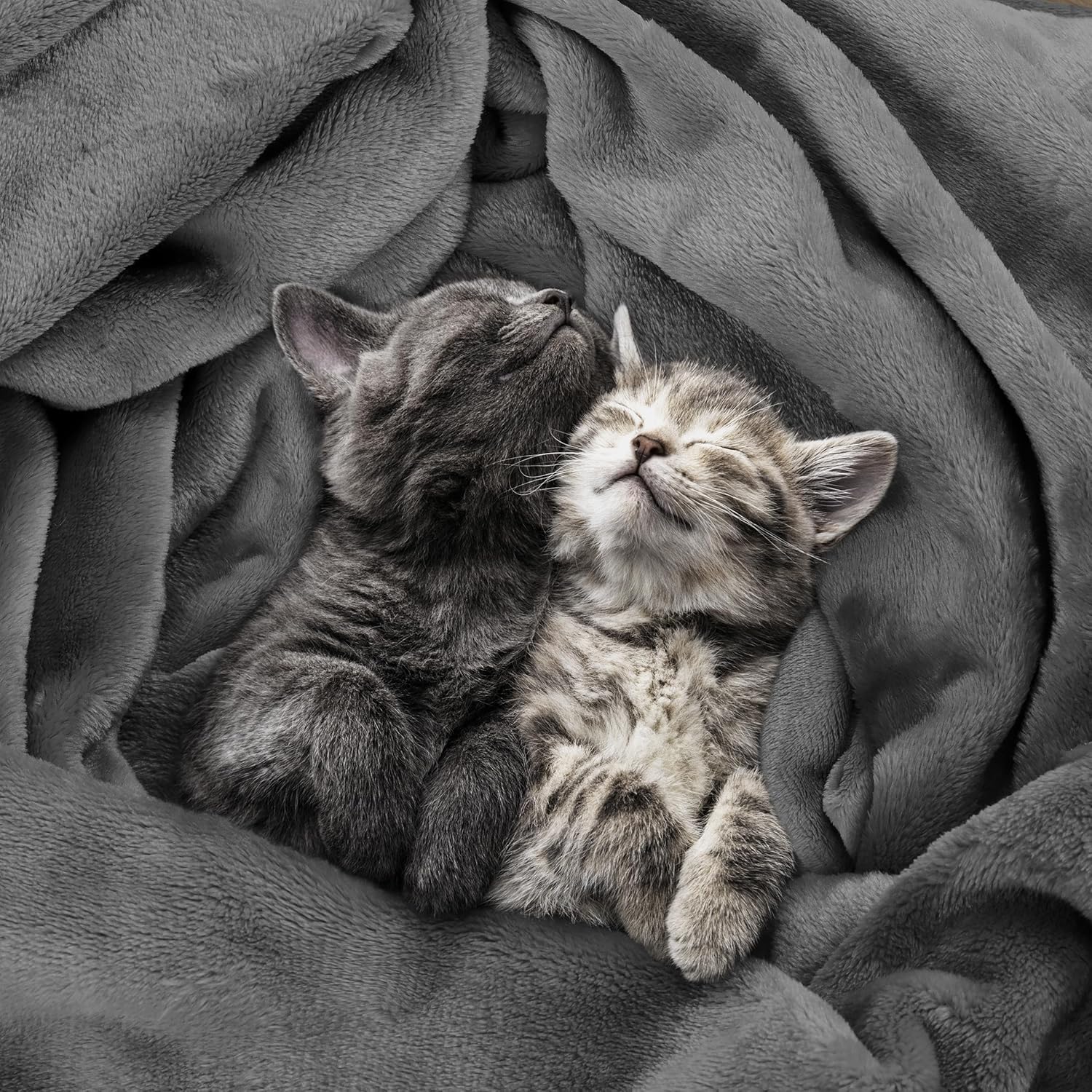 micro fleece blanket